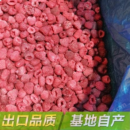 大型批发速冻树莓 冷冻树莓现货发货常规有机