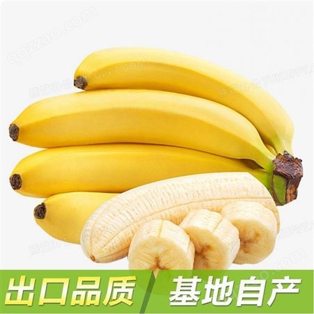 速冻香蕉片 香蕉段速冻果蔬 速冻蔬菜 冷冻水果 速冻食品