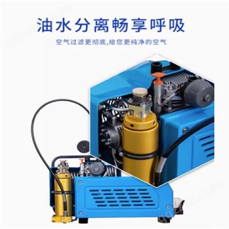 潜水呼吸高压充气泵30mpa消防正压式空气压缩机电动打气机4500psi