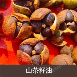 YS垣鑫JC1014山茶籽油冷压初榨原料产地中国