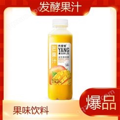 益生菌发酵芒果汁450mlX15瓶果味饮料商超渠道
