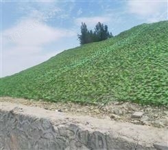 驰阳山体覆盖绿叶网 仿真树叶铁丝网 遮盖山坡边坡防护绿化网