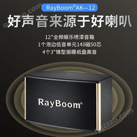 RayBoom AK-10卡包音响 KTV音响系统 音质高保真度高 适用娱乐场所