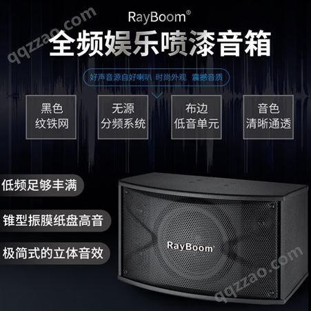 RayBoom 全频娱乐喷漆音箱 音色清晰透彻 专为娱乐场所打造 KTV音响