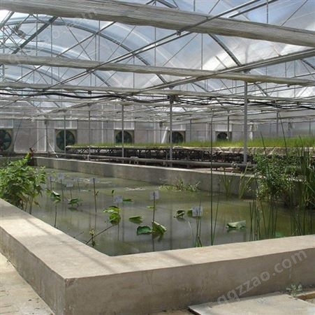 生态园大棚蔬菜种植大棚作用 聚丰 蔬菜种植大棚作用