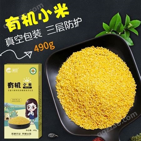小米批发 和粮农业东北特色有机黄小米 黑龙江小黄米 月子米