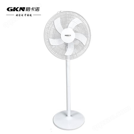GKN格卡诺 电风扇家用落地扇多功能可摇头活动礼品