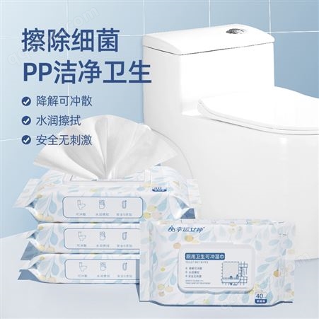 佳燕 便携式湿厕纸 清洁卫生除菌通用小包可直冲马桶