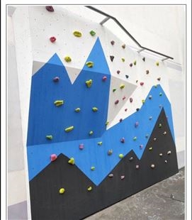 禹熙-攀岩墙儿童家用家庭攀爬墙幼儿园攀爬架室内体训练器材