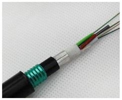 16芯室外光缆铠装层绞式单模光纤GYTA53-16B光缆线双铠双护套电信