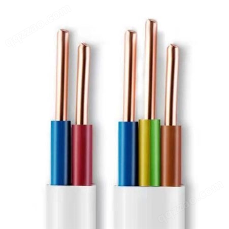 珠江电缆ZC-BVVB2*0.75平方无氧纯铜阻燃护套线铜芯电线电缆硬线