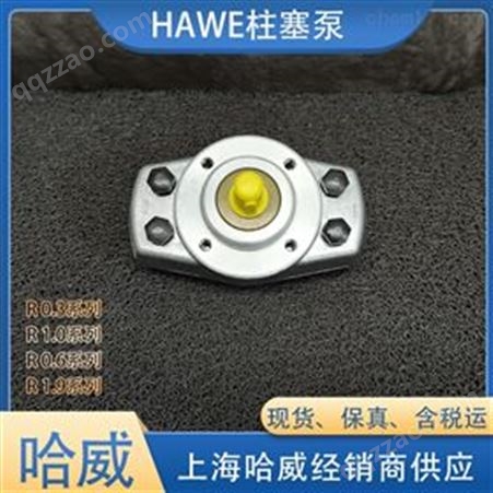 HAWE哈威R 2,2-2,2-2,2-2,2-2,2 A柱塞泵