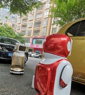 深圳商家优质供应小宝机器人租赁出售商用服务型机器人教育机器人阿尔法机器人欢迎致电
