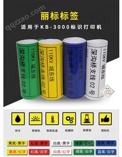 丽标KB3000标签标识打印机贴纸KB3000贴纸不干胶标签Ｄ-PK260Y