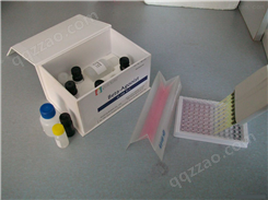 人孕激素/孕酮（PROG）ELISA试剂盒