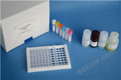 人巨噬细胞集落刺激因子（M-CSF）ELISA试剂盒