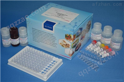 人细胞间粘附分子3（ICAM-3/CD50）ELISA试剂盒