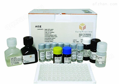 人血管紧张素Ⅰ（Ang-Ⅰ）ELISA试剂盒